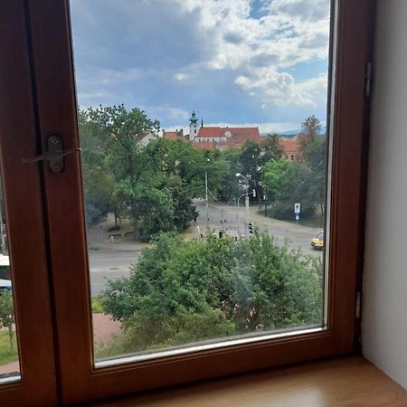 Riegrova Lejlighed Ceske Budejovice Eksteriør billede
